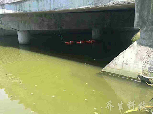 舟山市普佗區(qū)魯家峙河治理前水體圖