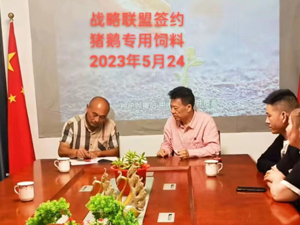 喬生科技戰(zhàn)略聯盟食葉草專用豬鵝飼料在2023年5月24合作簽約